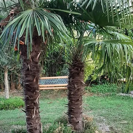 Brumar فندق مبيت وإفطار Brebbia